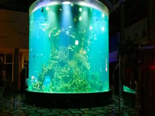 china vlastní levné super velké kolo pmma sklo akvária čiré válec akrylové nádrže pro ryby