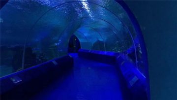 180 nebo 90 stupňových akrylových panelů pro akvarijní tunely