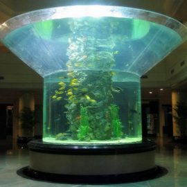 pmma sklo akvárium poloviční válec plexisklo transparentní rybí nádrž