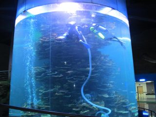 čistý akrylový válec velká nádrž na akvárium nebo oceán park
