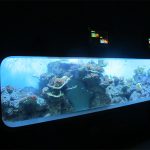 Umělohmotný akrylový cylindrický průhledný akvárium pro ryby / pohledové okno