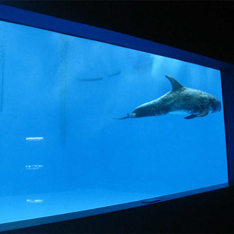 vysoce kvalitní Velké akrylátové akvarijní / bazénové podvodní okno s tlustými okny