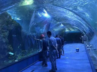 Projekt oceánarového akrylového tunelu v akváriích