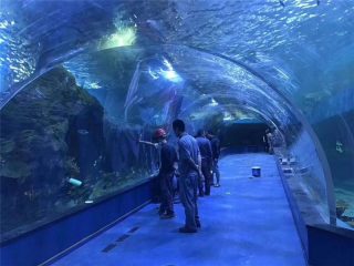 Vlastní plexisklo akrylové tunelové akvárium
