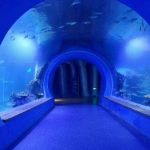 Vysoce čisté velké akrylové tunelové akvárium různých tvarů
