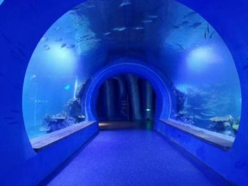 Vysoce čisté velké akrylové tunelové akvárium různých tvarů