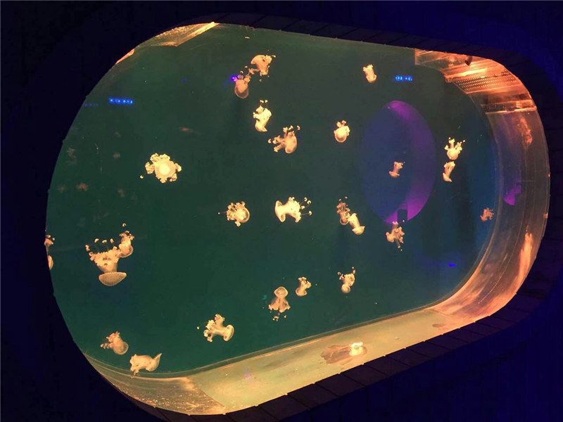 Velké akvárium akvárium na rybí nádrž