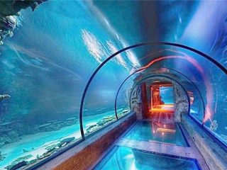 Moderní design akrylový akvarijní dlouhý tunel