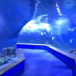 transparentní akrylové sklo Tunelové akvárium