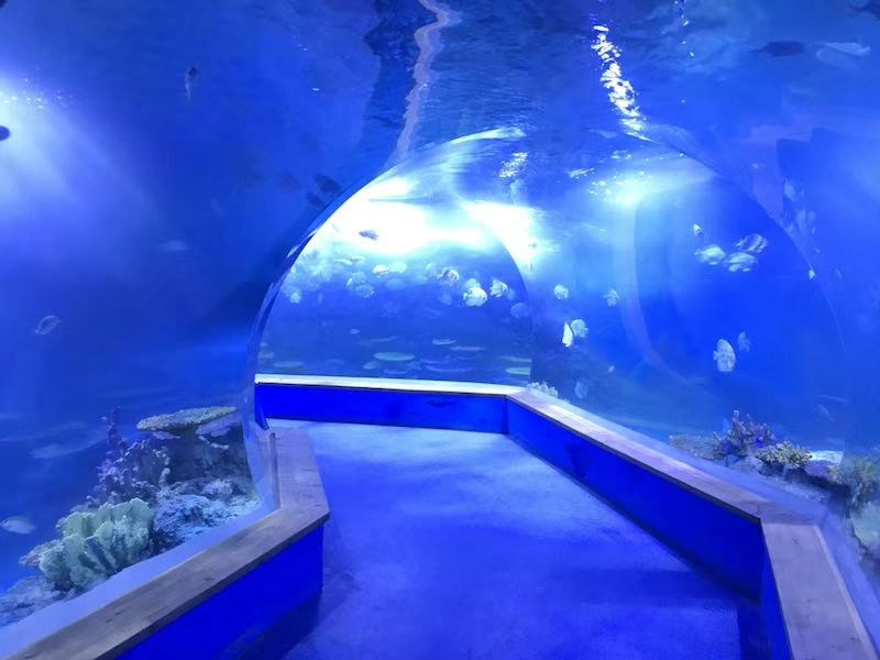 transparentní akrylové sklo Tunelové akvárium